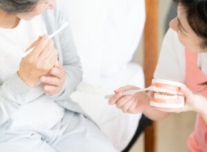 歯科衛生士が模型を使って歯周病予防のためのブラッシング指導をしている様子