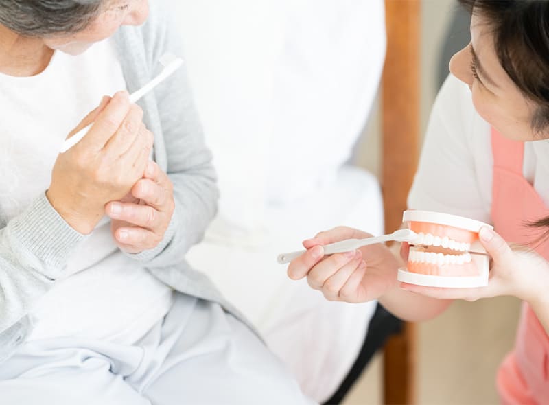 歯科衛生士が模型を使って歯周病予防のためのブラッシング指導をしている様子